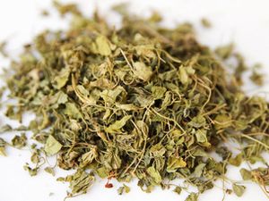 20101028-fenugreek-primary.jpg